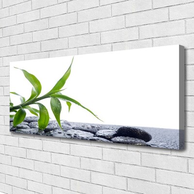 Canvas doek foto Blad natuur plant stones