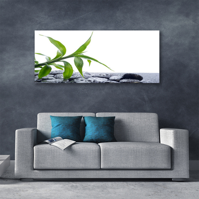 Canvas doek foto Blad natuur plant stones