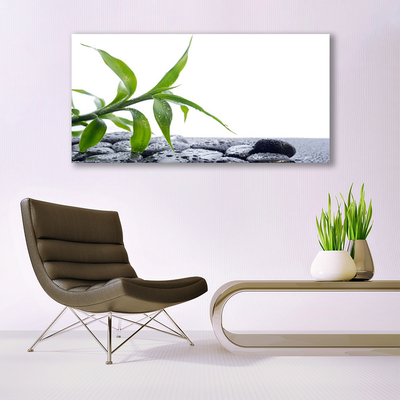 Canvas doek foto Blad natuur plant stones