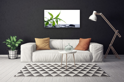 Canvas doek foto Blad natuur plant stones