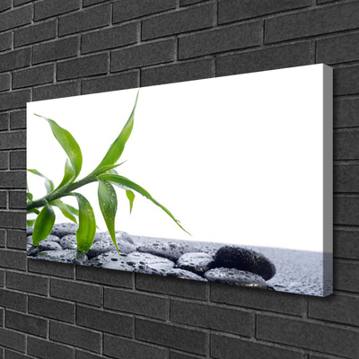 Canvas doek foto Blad natuur plant stones