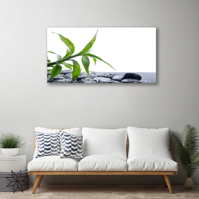 Canvas doek foto Blad natuur plant stones