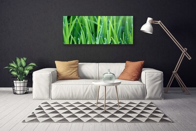 Canvas doek foto Grass nature plant drops