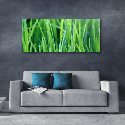 Canvas doek foto Grass nature plant drops