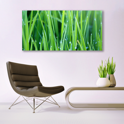 Canvas doek foto Grass nature plant drops