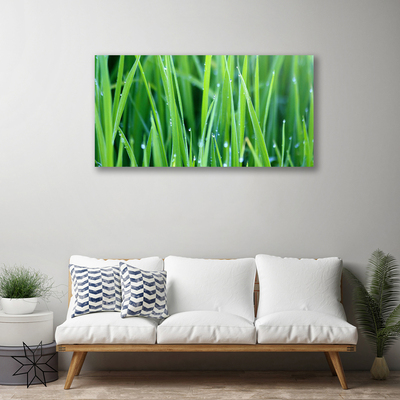 Canvas doek foto Grass nature plant drops