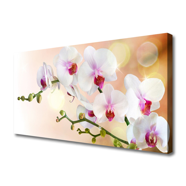 Canvas doek foto Bloemen plant nature