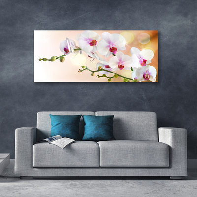 Canvas doek foto Bloemen plant nature