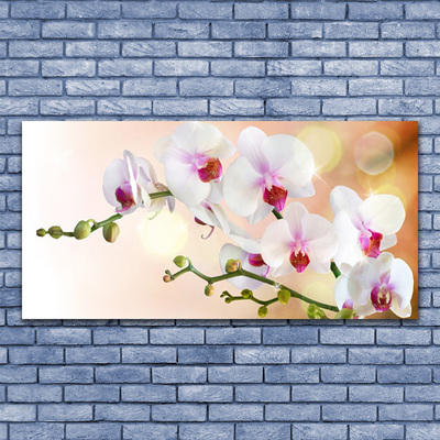 Canvas doek foto Bloemen plant nature