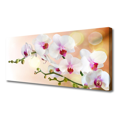 Canvas doek foto Bloemen plant nature