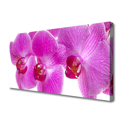 Canvas doek foto Bloemen plant nature