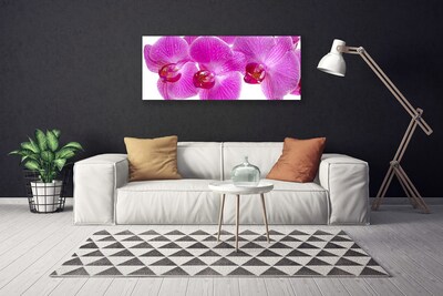 Canvas doek foto Bloemen plant nature