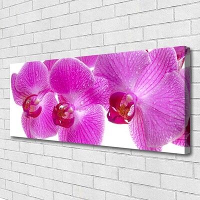 Canvas doek foto Bloemen plant nature