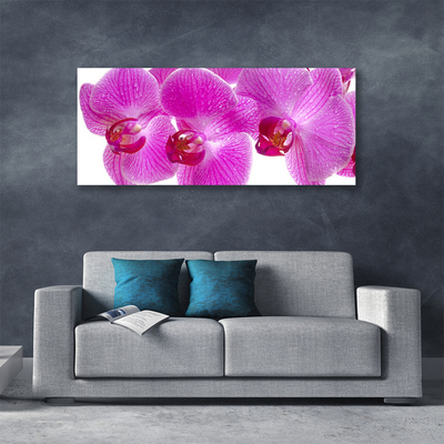 Canvas doek foto Bloemen plant nature