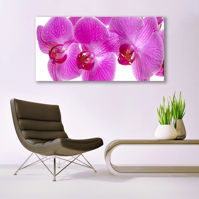 Canvas doek foto Bloemen plant nature