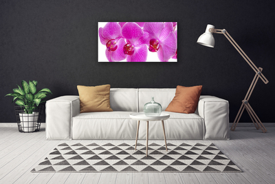 Canvas doek foto Bloemen plant nature