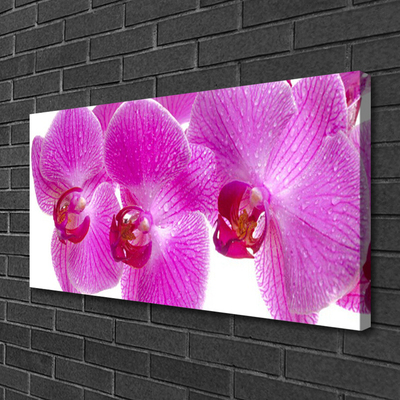 Canvas doek foto Bloemen plant nature