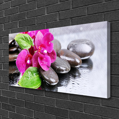 Canvas doek foto Flower orchideeinstallatie