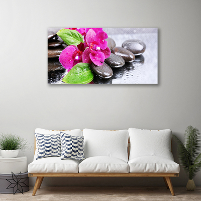 Canvas doek foto Flower orchideeinstallatie