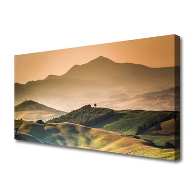 Canvas doek foto Veld bergen landschap