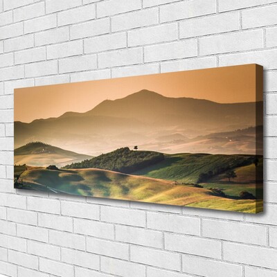 Canvas doek foto Veld bergen landschap