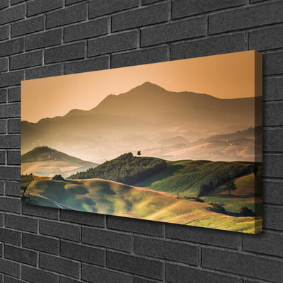 Canvas doek foto Veld bergen landschap