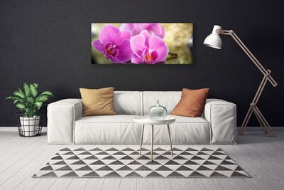 Canvas doek foto Bloemen plant nature