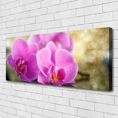 Canvas doek foto Bloemen plant nature