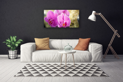 Canvas doek foto Bloemen plant nature