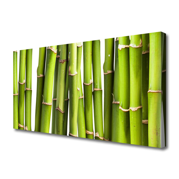 Canvas doek foto Installatie van het bamboe nature