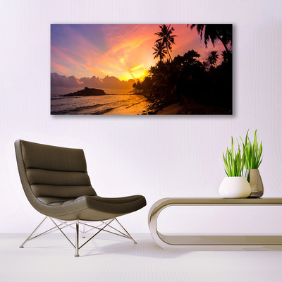 Canvas doek foto Sea sun palm landschap