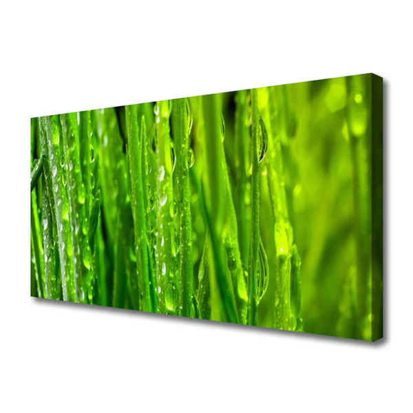 Canvas doek foto Grass nature plant