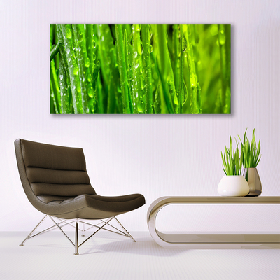 Canvas doek foto Grass nature plant
