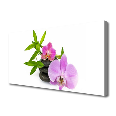 Canvas doek foto Flower orchideeinstallatie