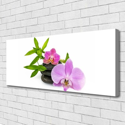 Canvas doek foto Flower orchideeinstallatie