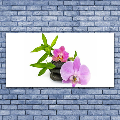 Canvas doek foto Flower orchideeinstallatie