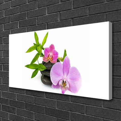 Canvas doek foto Flower orchideeinstallatie