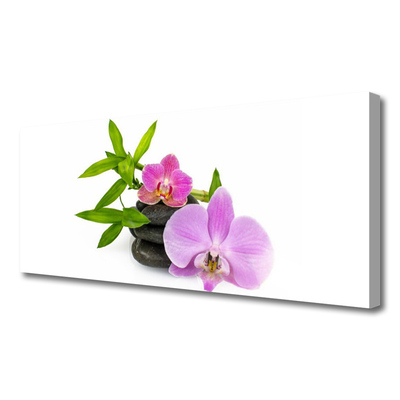 Canvas doek foto Flower orchideeinstallatie