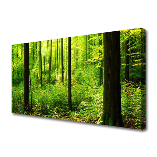 Canvas doek foto Green forest trees nature