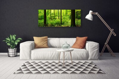 Canvas doek foto Green forest trees nature