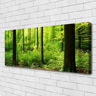 Canvas doek foto Green forest trees nature