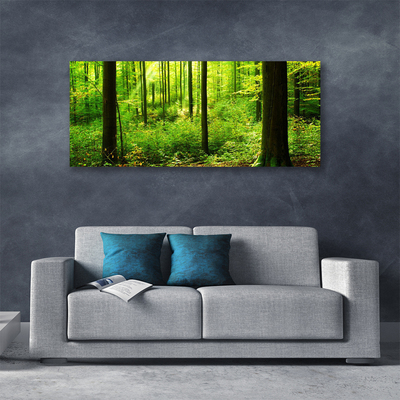 Canvas doek foto Green forest trees nature