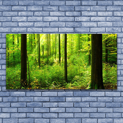 Canvas doek foto Green forest trees nature