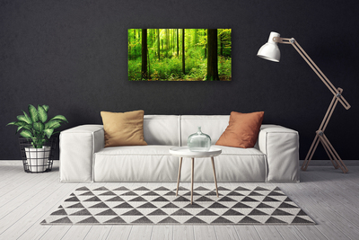 Canvas doek foto Green forest trees nature