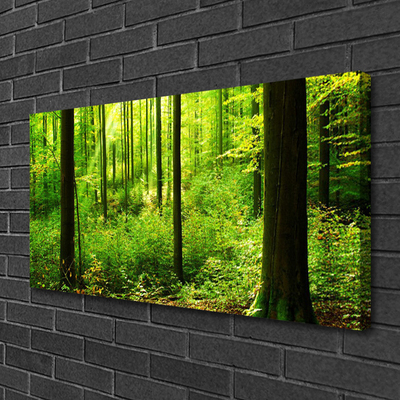 Canvas doek foto Green forest trees nature