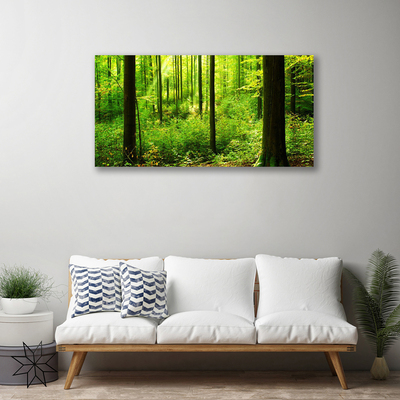 Canvas doek foto Green forest trees nature