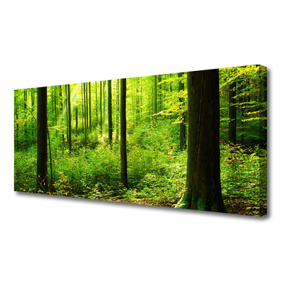 Canvas doek foto Green forest trees nature