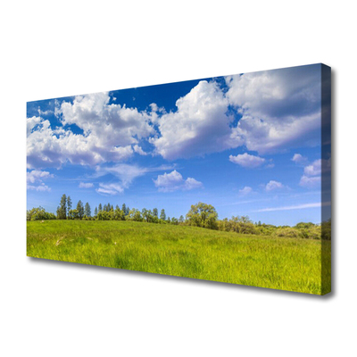 Canvas doek foto Weidegras heaven landschap