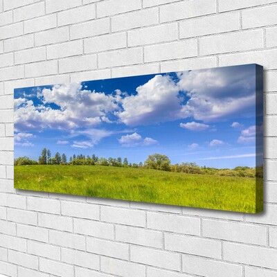 Canvas doek foto Weidegras heaven landschap