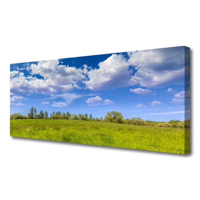 Canvas doek foto Weidegras heaven landschap